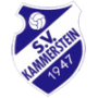 Direktlink zu SV Kammerstein
